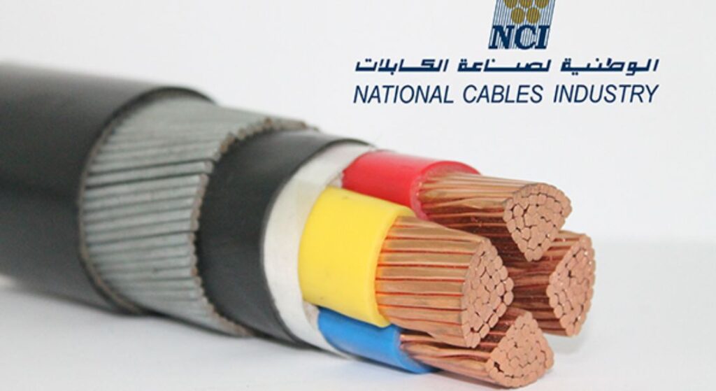 NCI Electrical Solutions: A Complete Guide for UAE Projects - Part 1 Nci Electrical Products Uae 2 1024x559